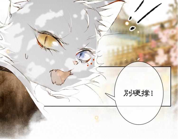 第31话 迎战！(1/2)-第37话