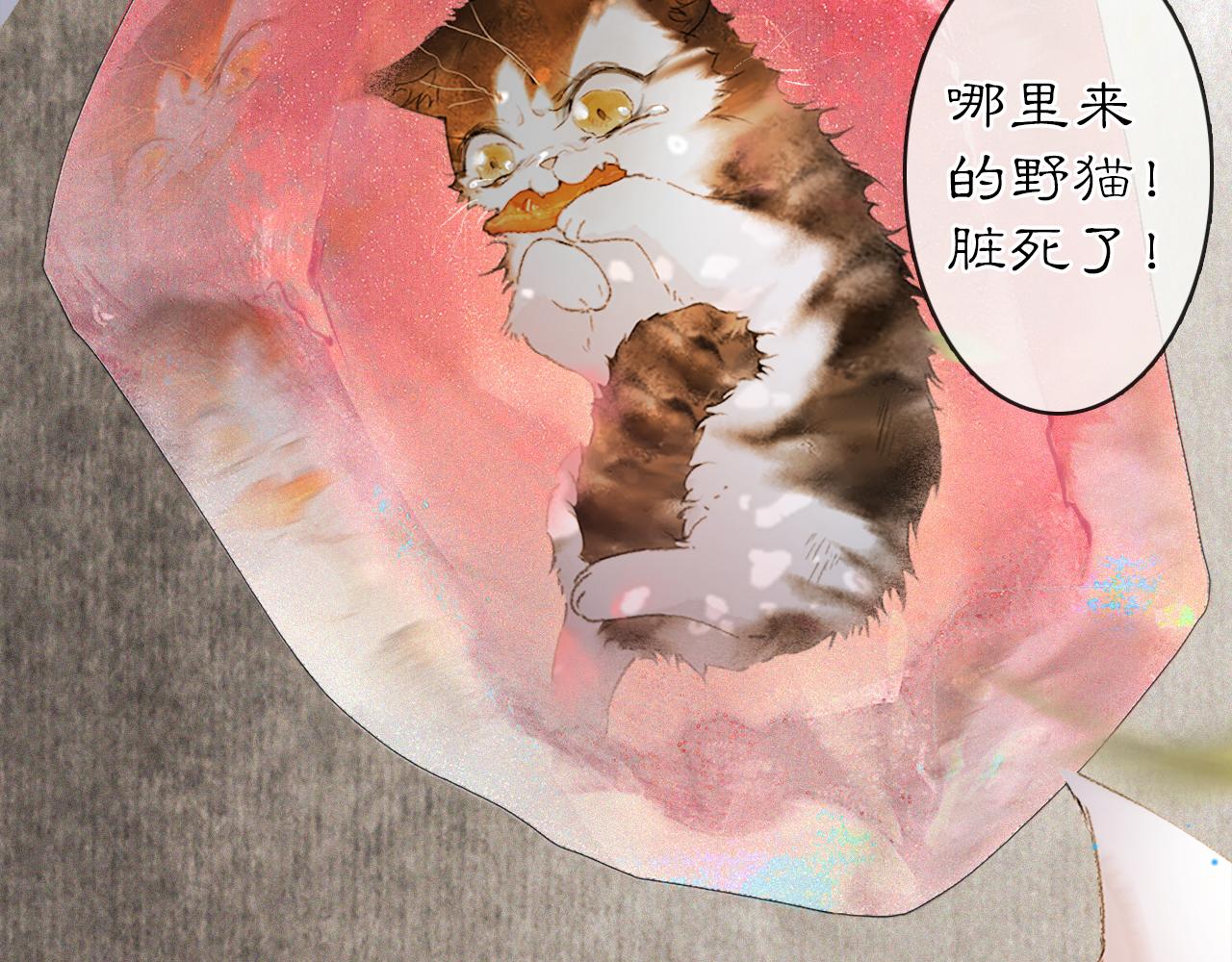 第12话 猫猫心事(1/2)-第61话