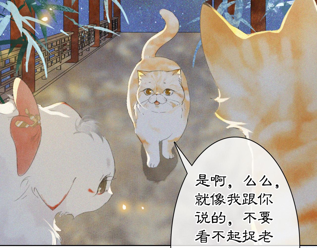 番外 御喵夜生活&middot;下-第73话