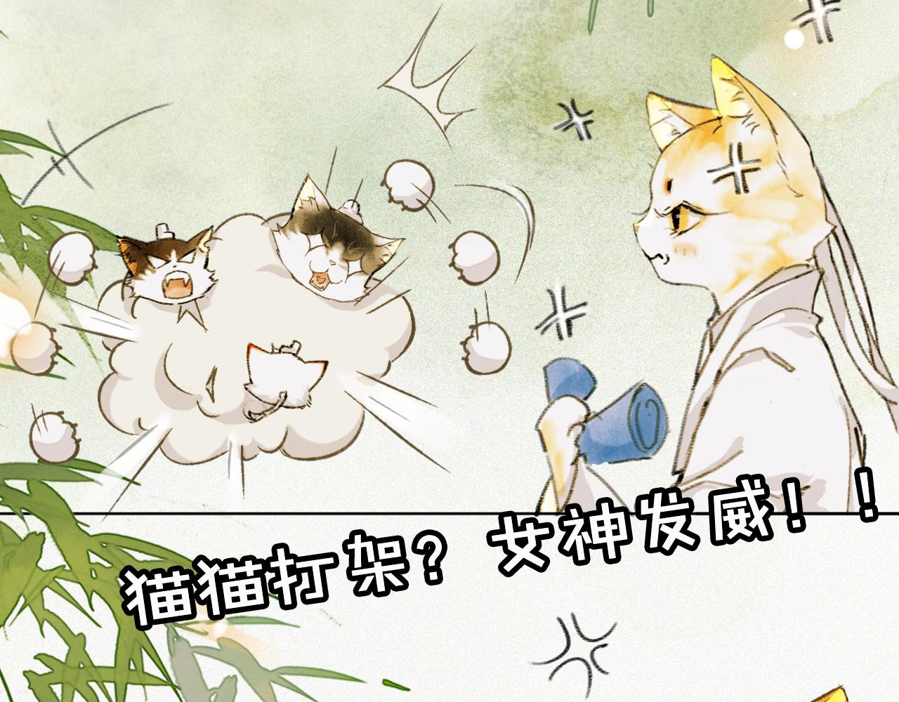 第25话 肆意妄为隐身猫(1/2)-第79话