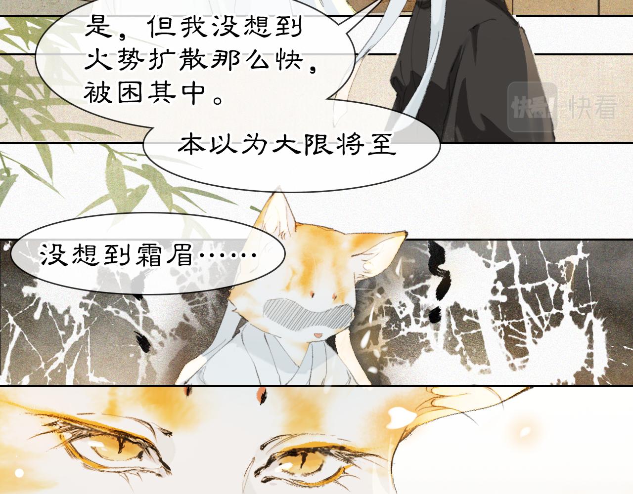 第37话 腹黑喵的真相(1/2)-第91话