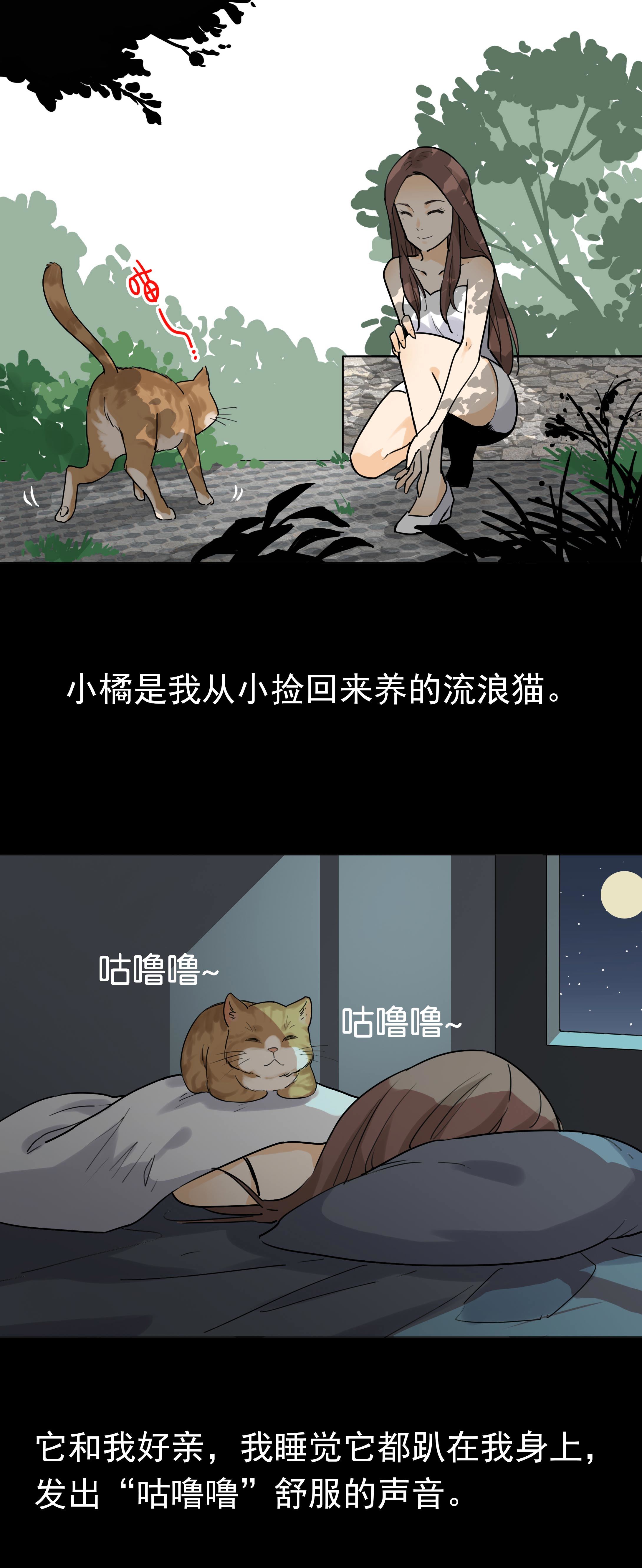042猫咪-第39话