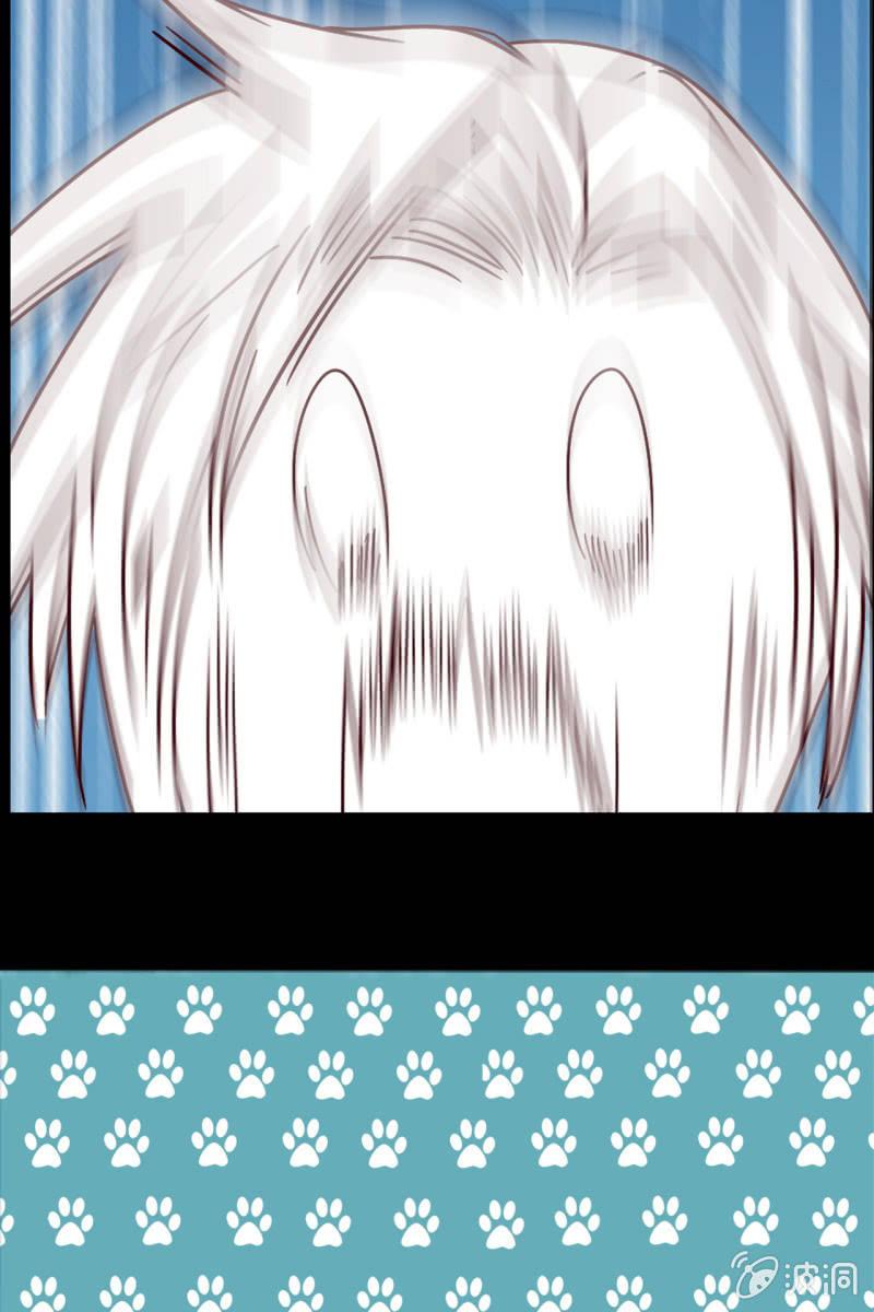 第12话 蛋碎了？！？！-第13话