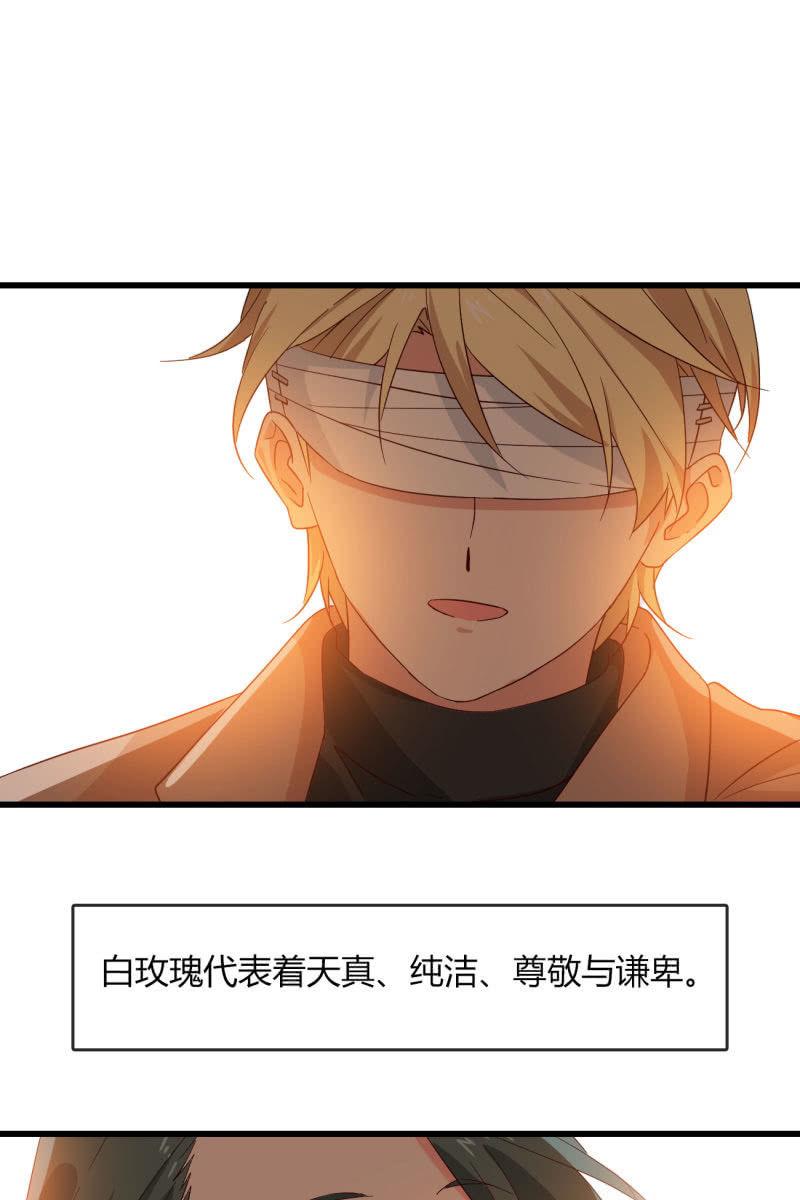 花语-第195话