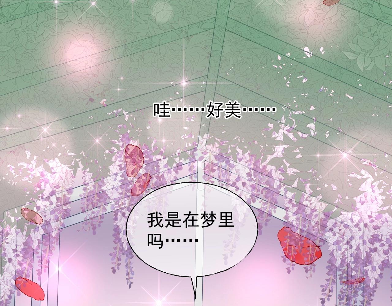第114话 玫瑰花的生日礼物(1/2)-第115话