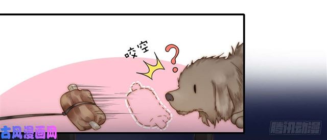 第110话 钓恶犬-第113话