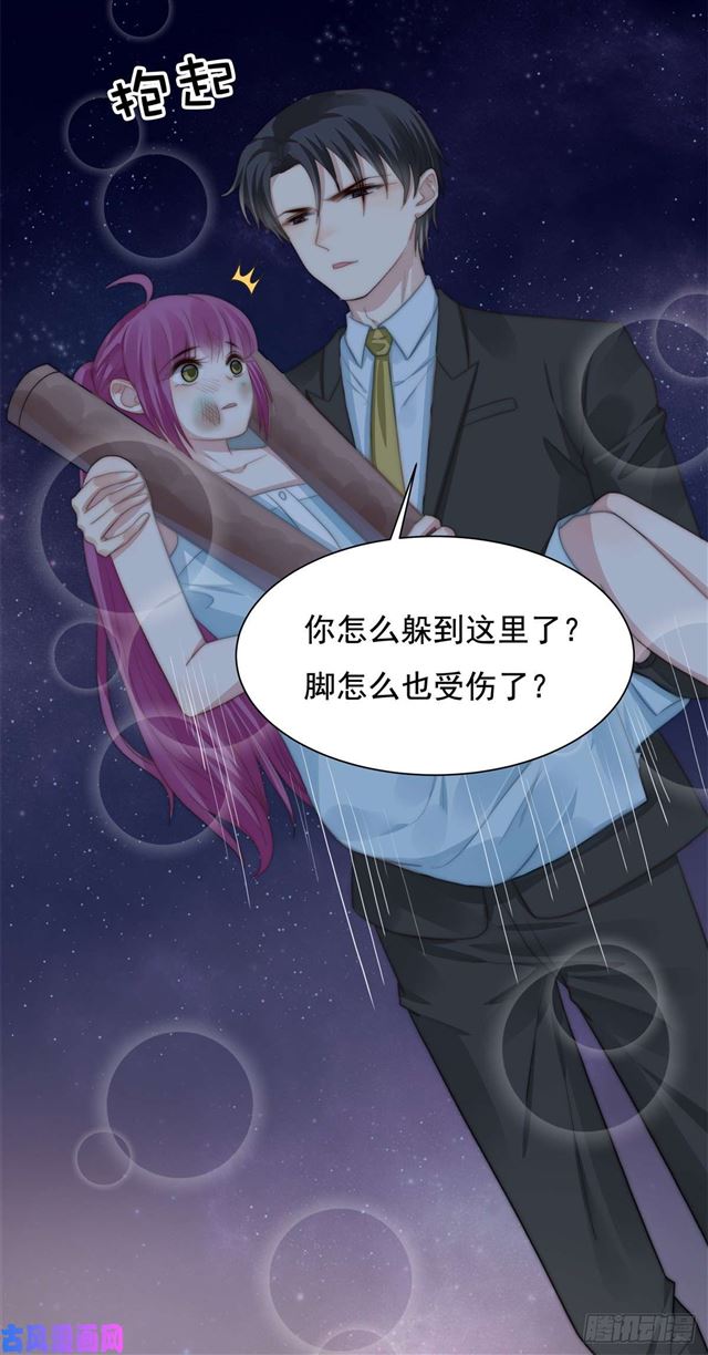第114话 最会享受的猫-第117话