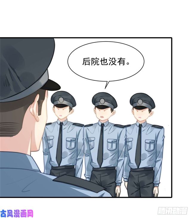 第114话 最会享受的猫-第117话