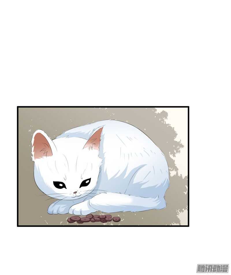 第53话 跟我联手吧-第53话