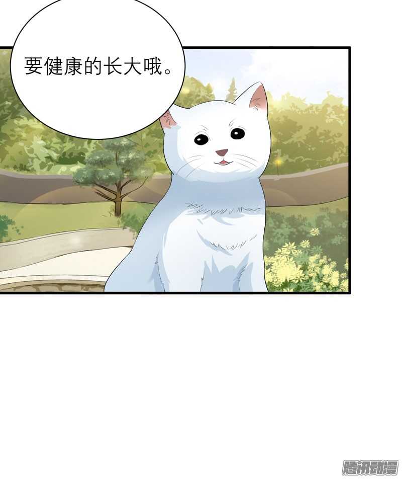 第53话 跟我联手吧-第53话