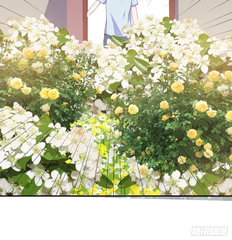 第77话 你这个笨蛋！(1/2)-第81话