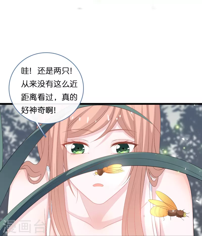 第202话 我们的浪漫是可以发光的-第213话