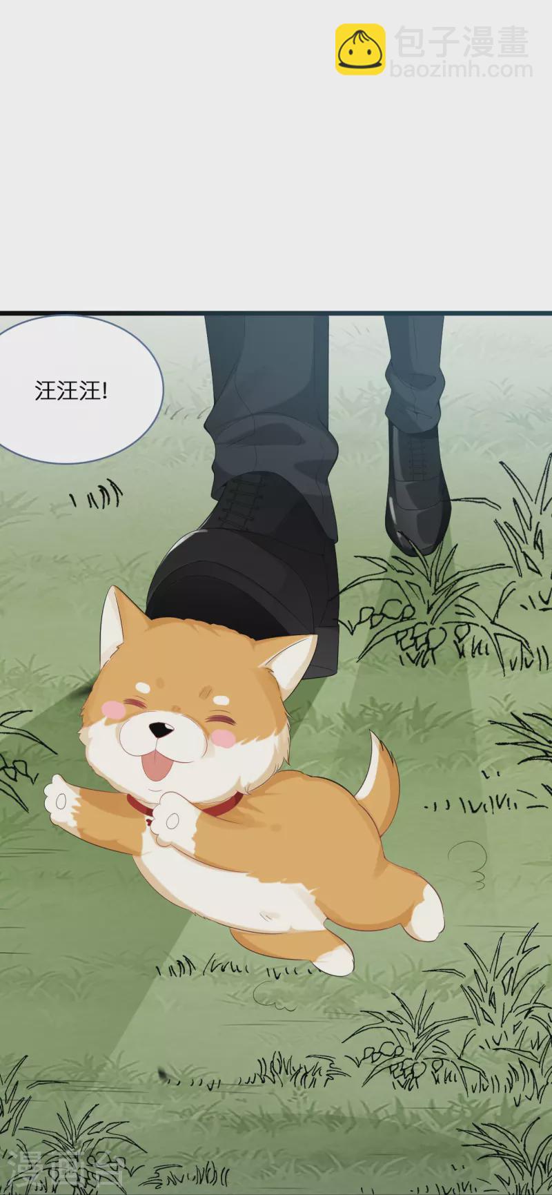 第204话 铃兰花的生活-第215话