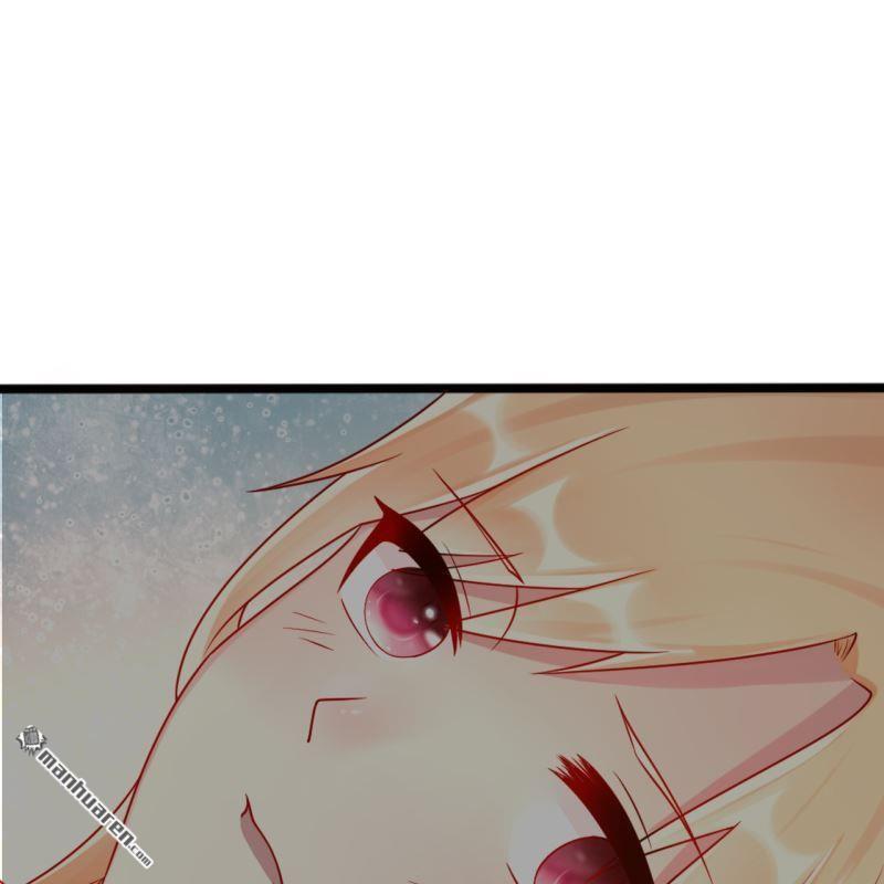 第43回(1/2)-第41话