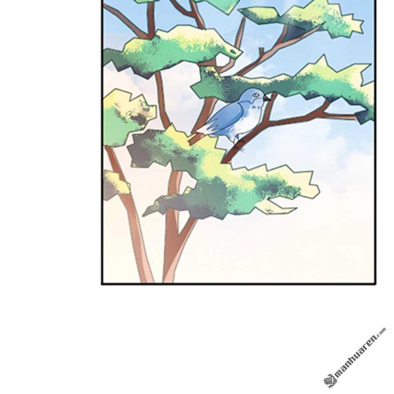 第71回-第71话