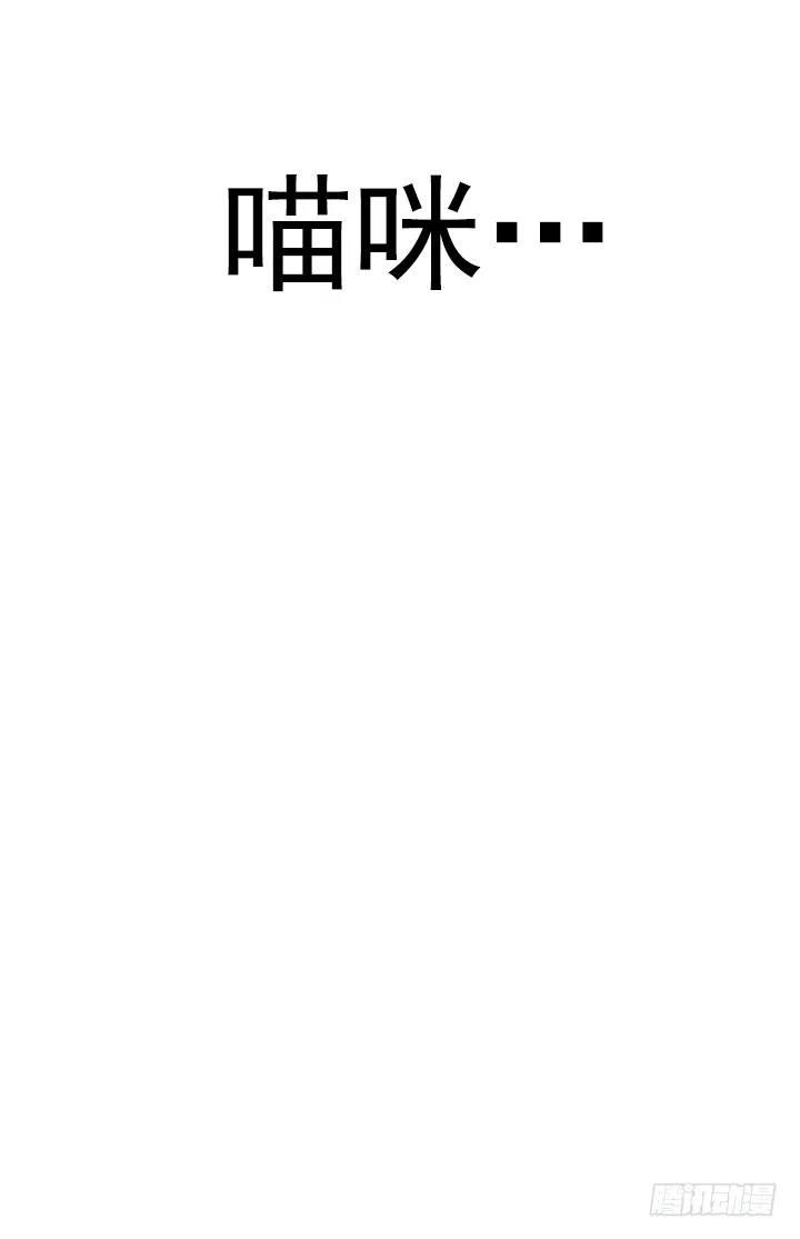 喵咪酱之死(1/2)-第61话