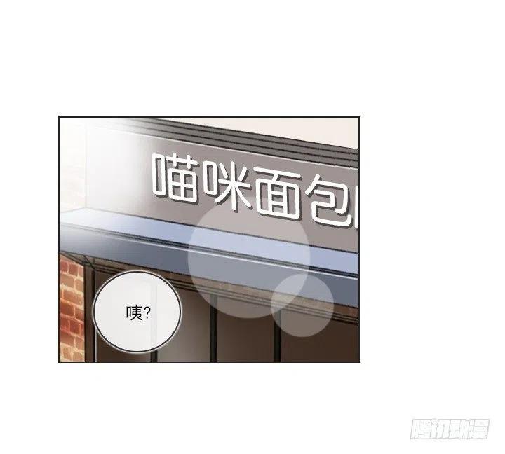 塑料花友情-第79话