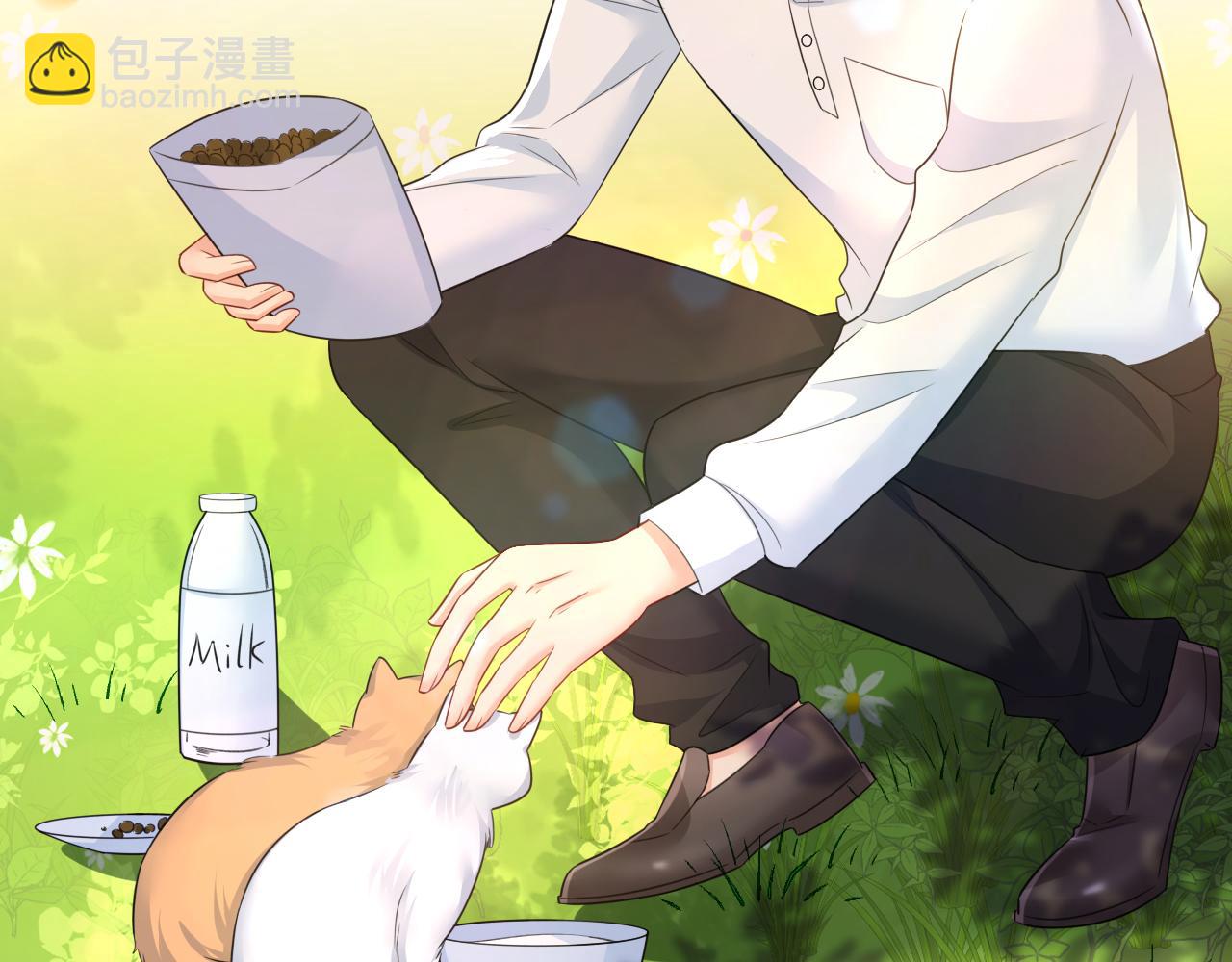 🍲总裁在上 第621话 你居然会养猫？ 第12页