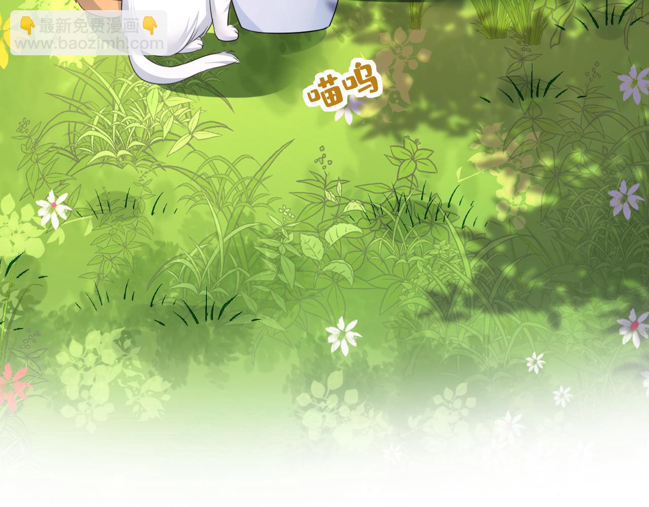 🍲总裁在上 第621话 你居然会养猫？ 第13页