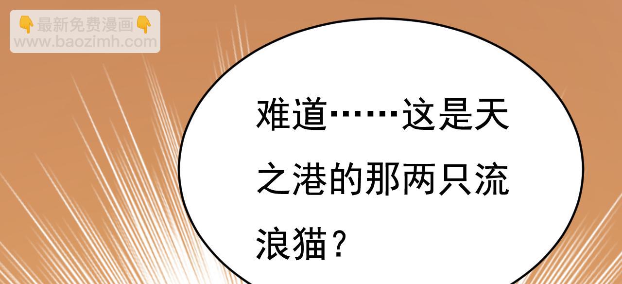 🍲总裁在上 第621话 你居然会养猫？ 第26页