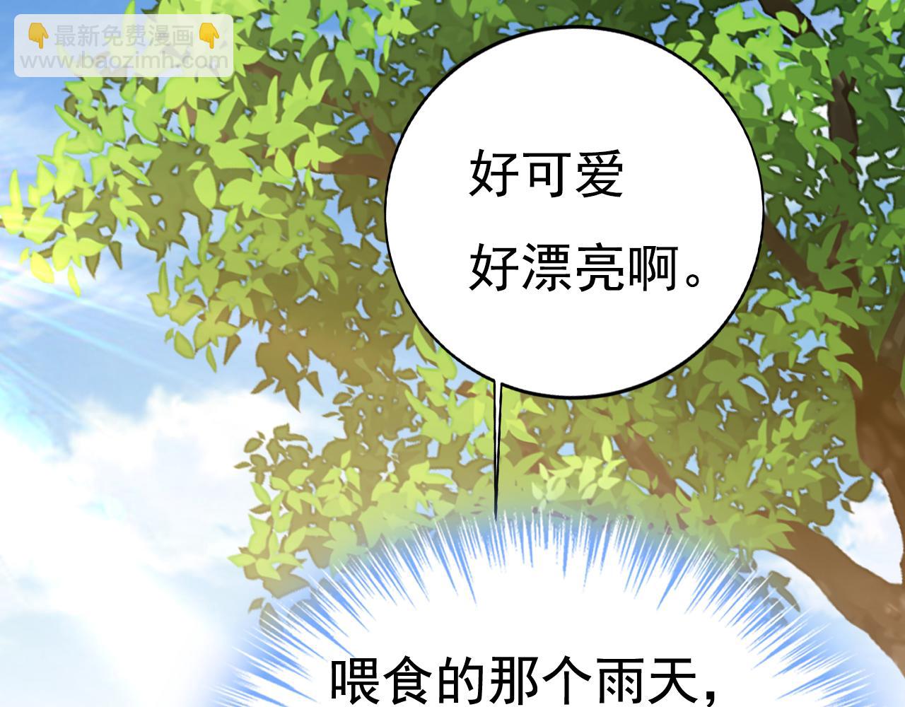 🍲总裁在上 第621话 你居然会养猫？ 第32页