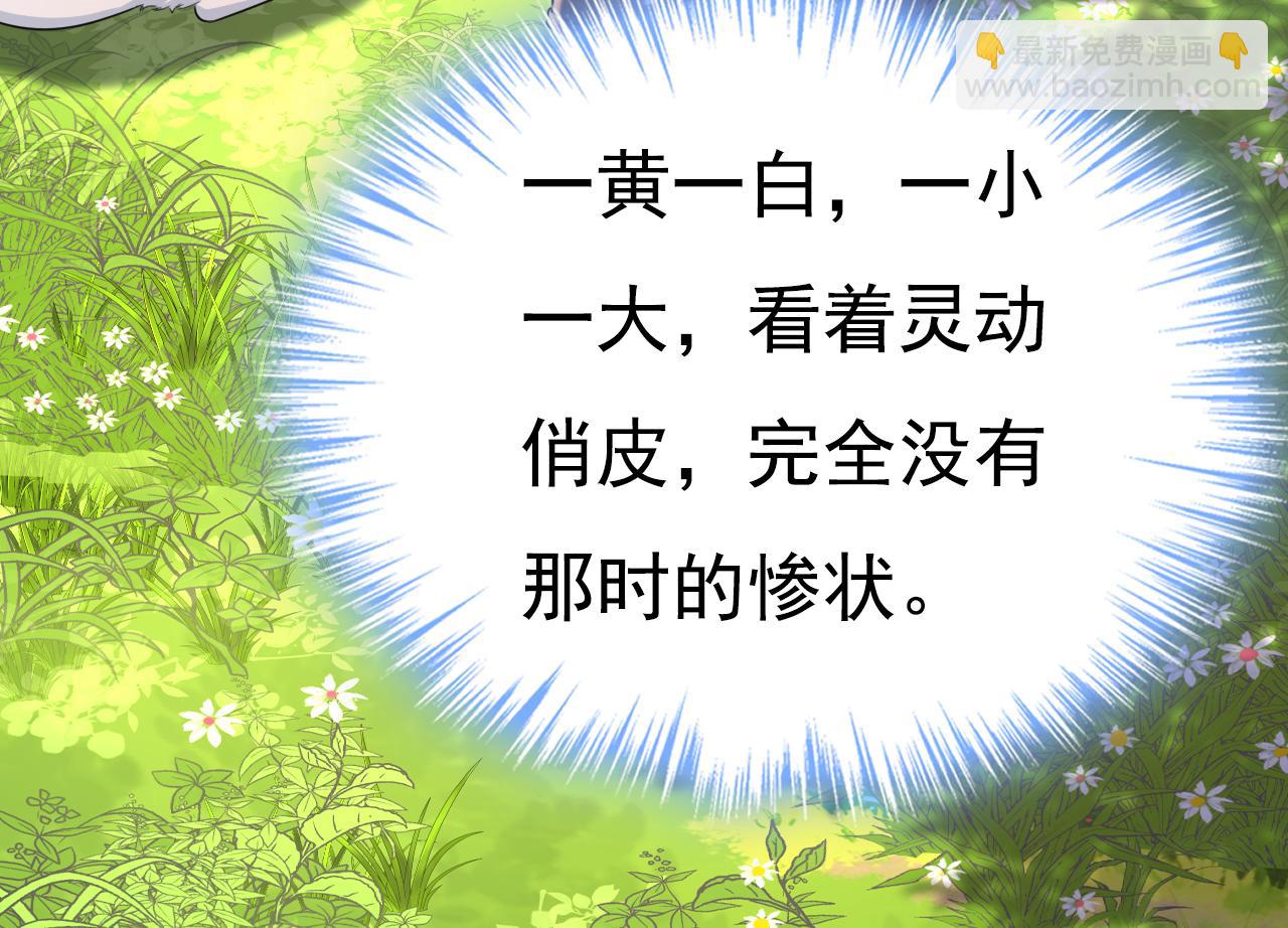 🍲总裁在上 第621话 你居然会养猫？ 第36页