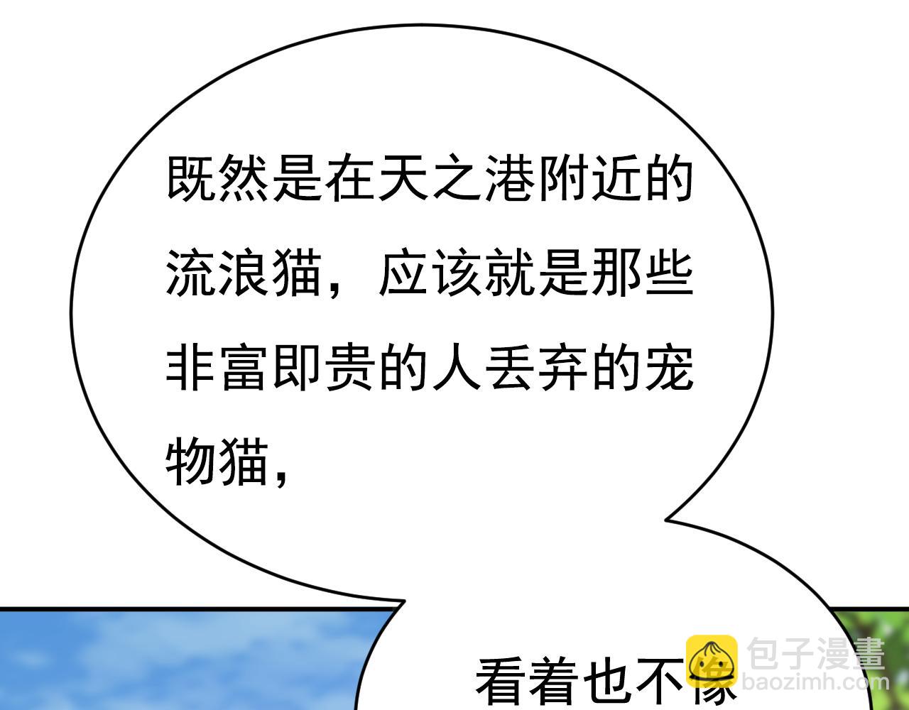 🍲总裁在上 第621话 你居然会养猫？ 第41页