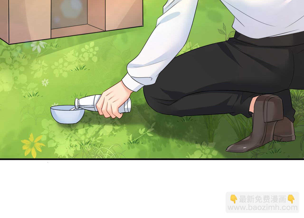 🍲总裁在上 第621话 你居然会养猫？ 第5页
