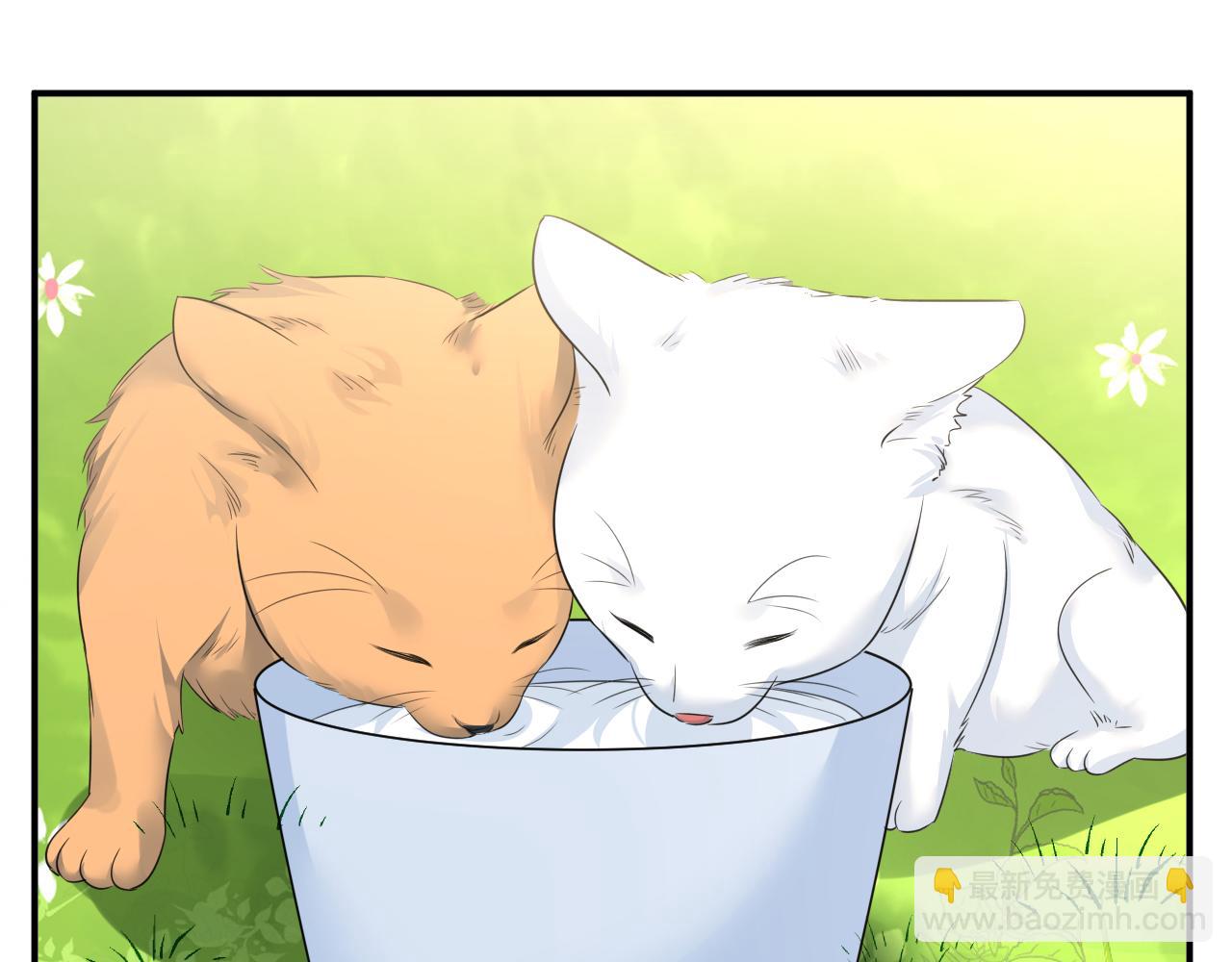 🍲总裁在上 第621话 你居然会养猫？ 第6页