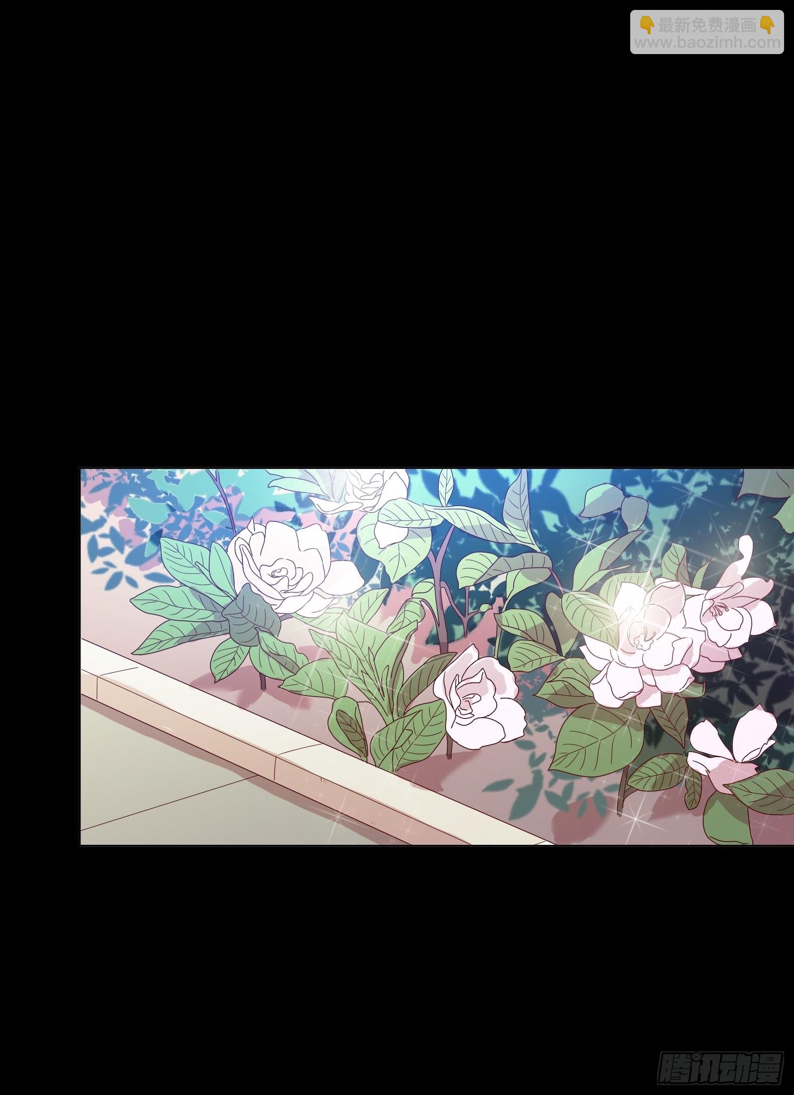 第二十八集(1/2)-第29话