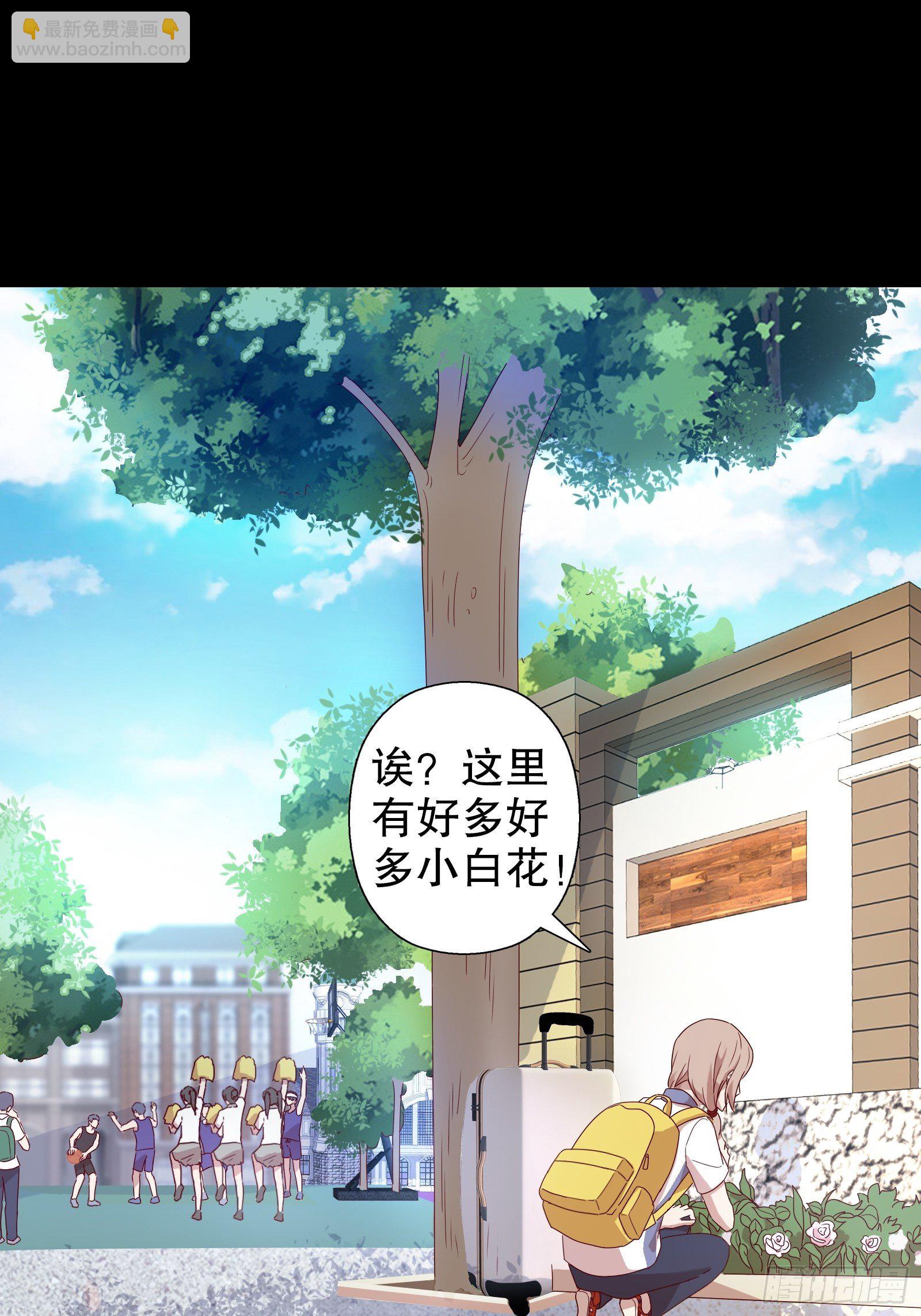 第二十八集(1/2)-第29话