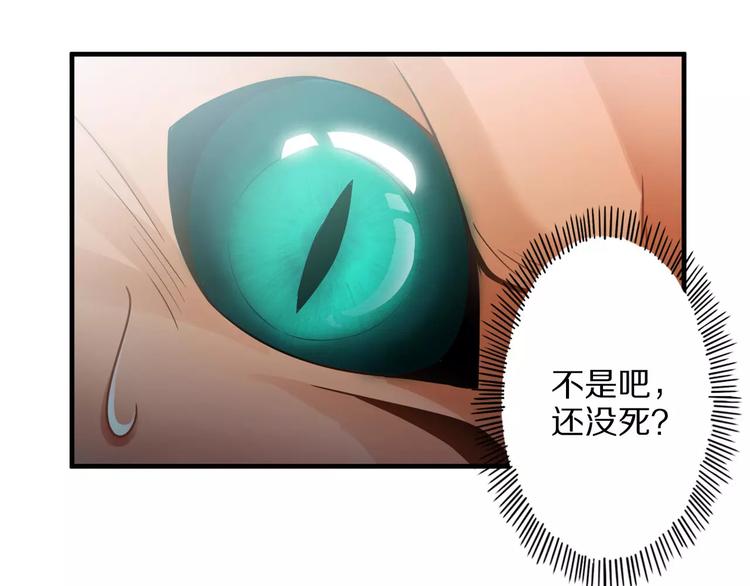 第3话 领域(1/5)-第3话