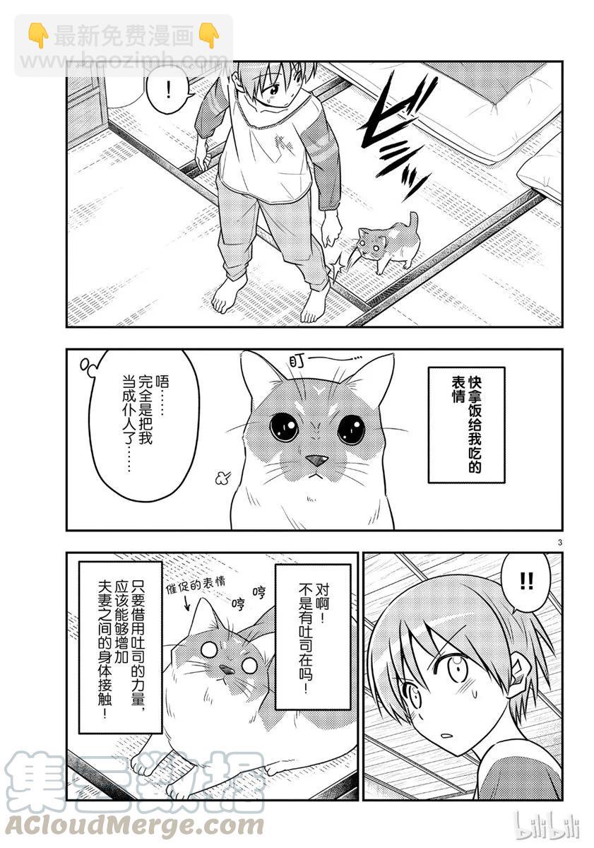 🍲总之就是非常可爱 53 第53话“猫  vs  夫妻” 第3页