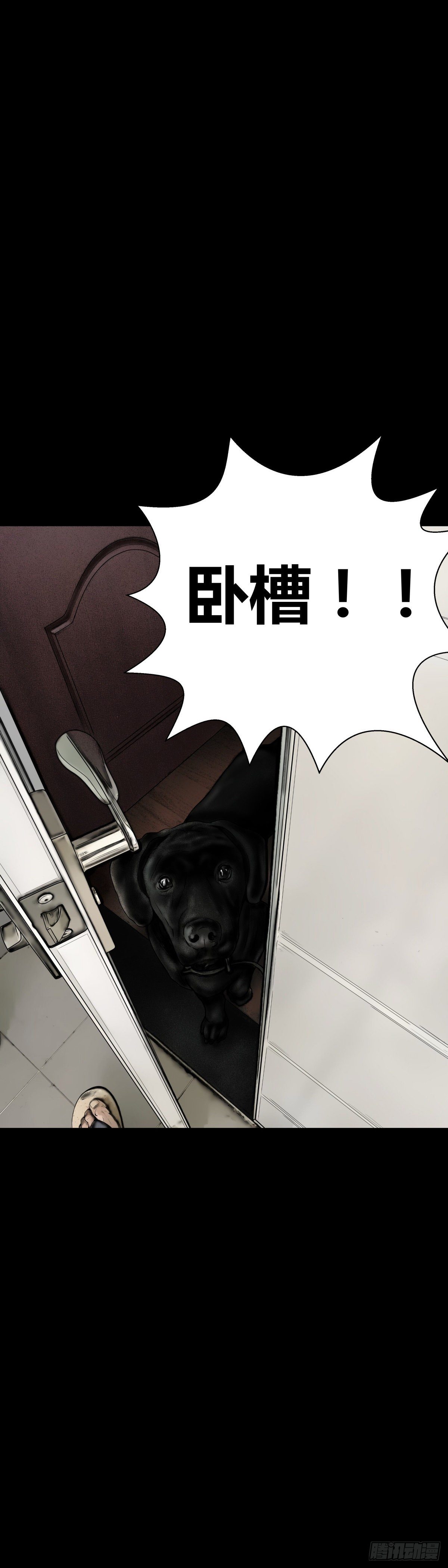 第13话 家宠-第13话