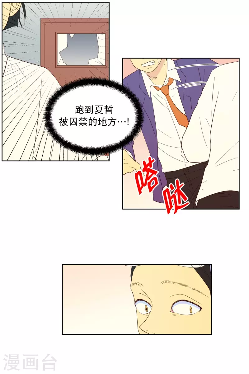 第117话 夏皙的选择8-第117话