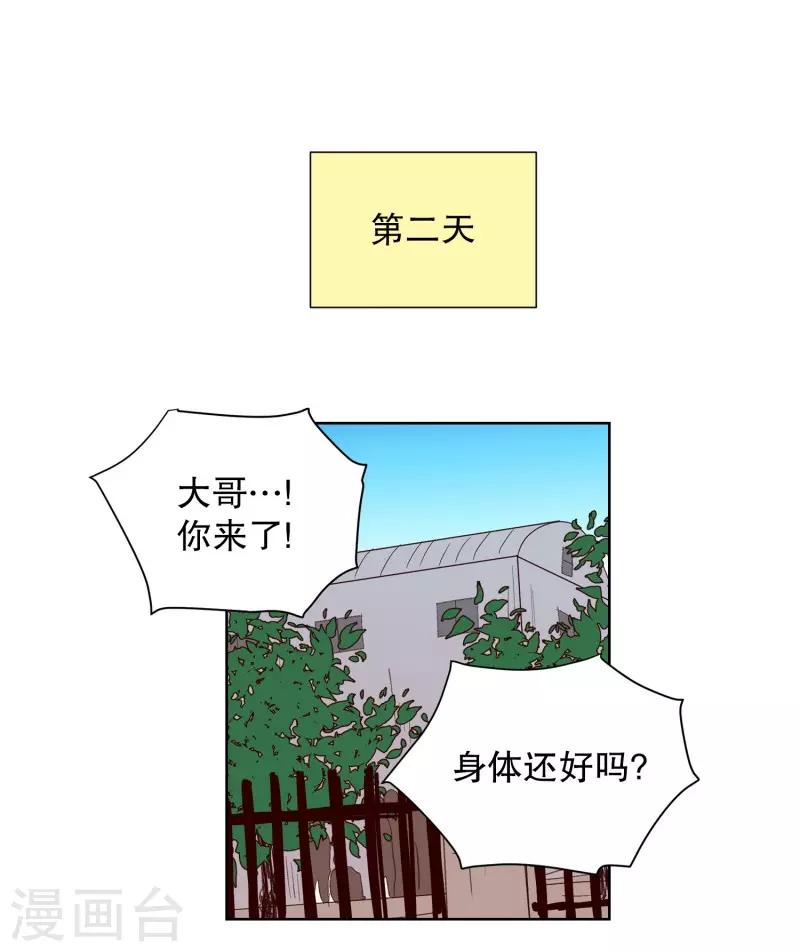 第77话 向花瓣许愿2-第77话