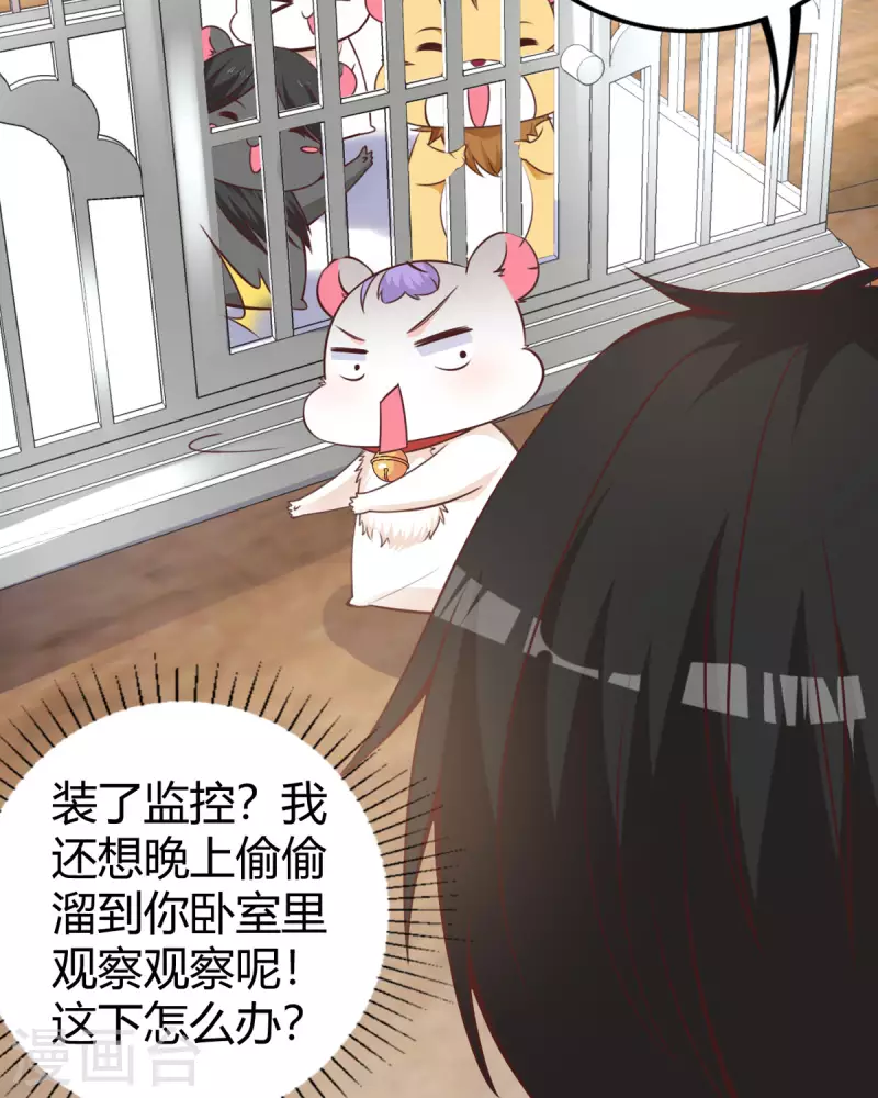 第18话 心理医生-第19话
