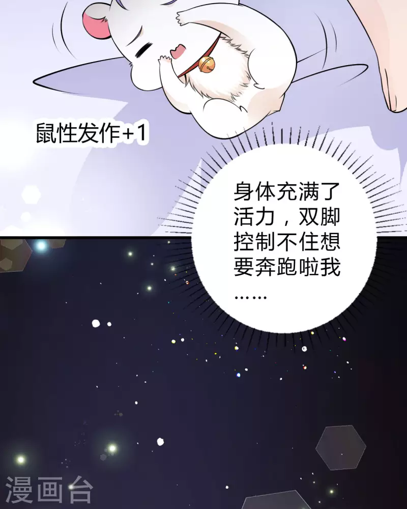第18话 心理医生-第19话
