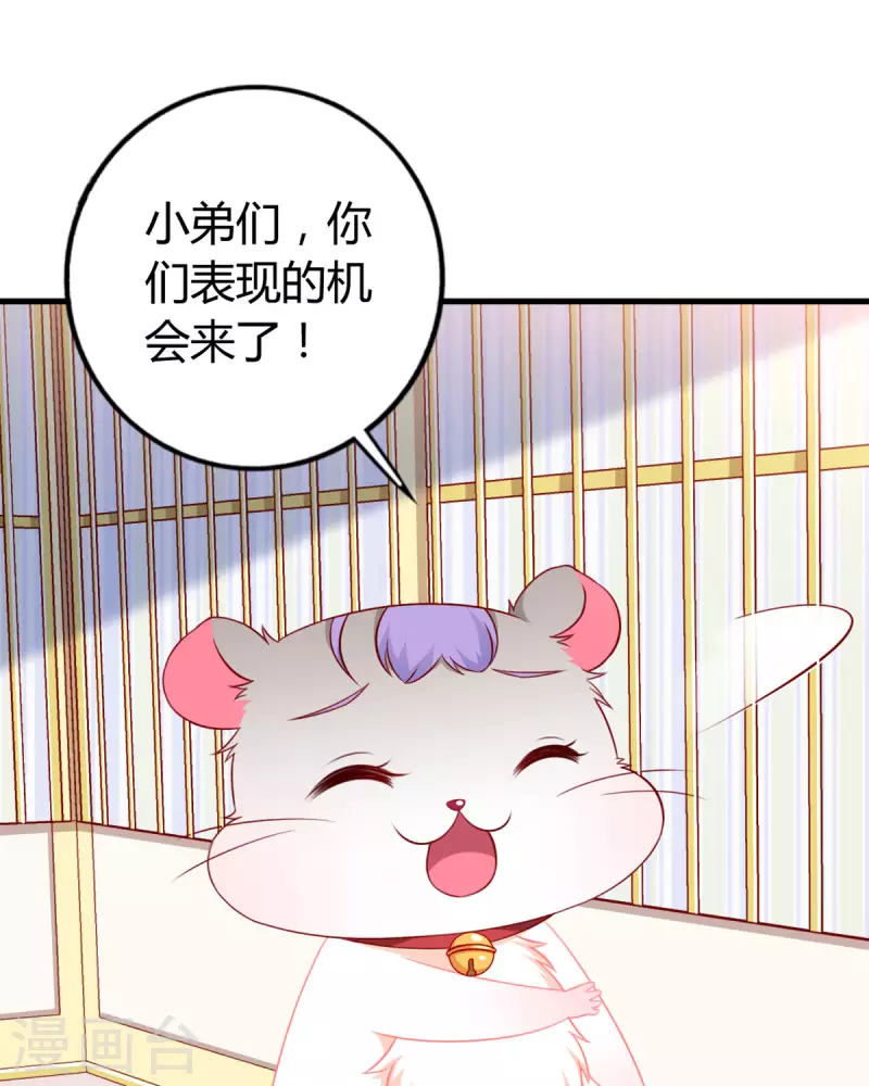 第8话 谁的裤腰带-第9话