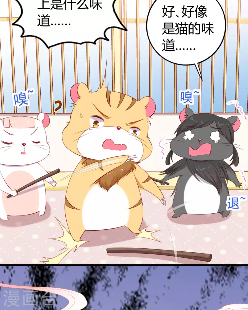 第8话 谁的裤腰带-第9话