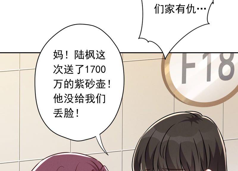 🍲最豪赘婿 龙王殿 第115话 赘婿有阴谋 第41页