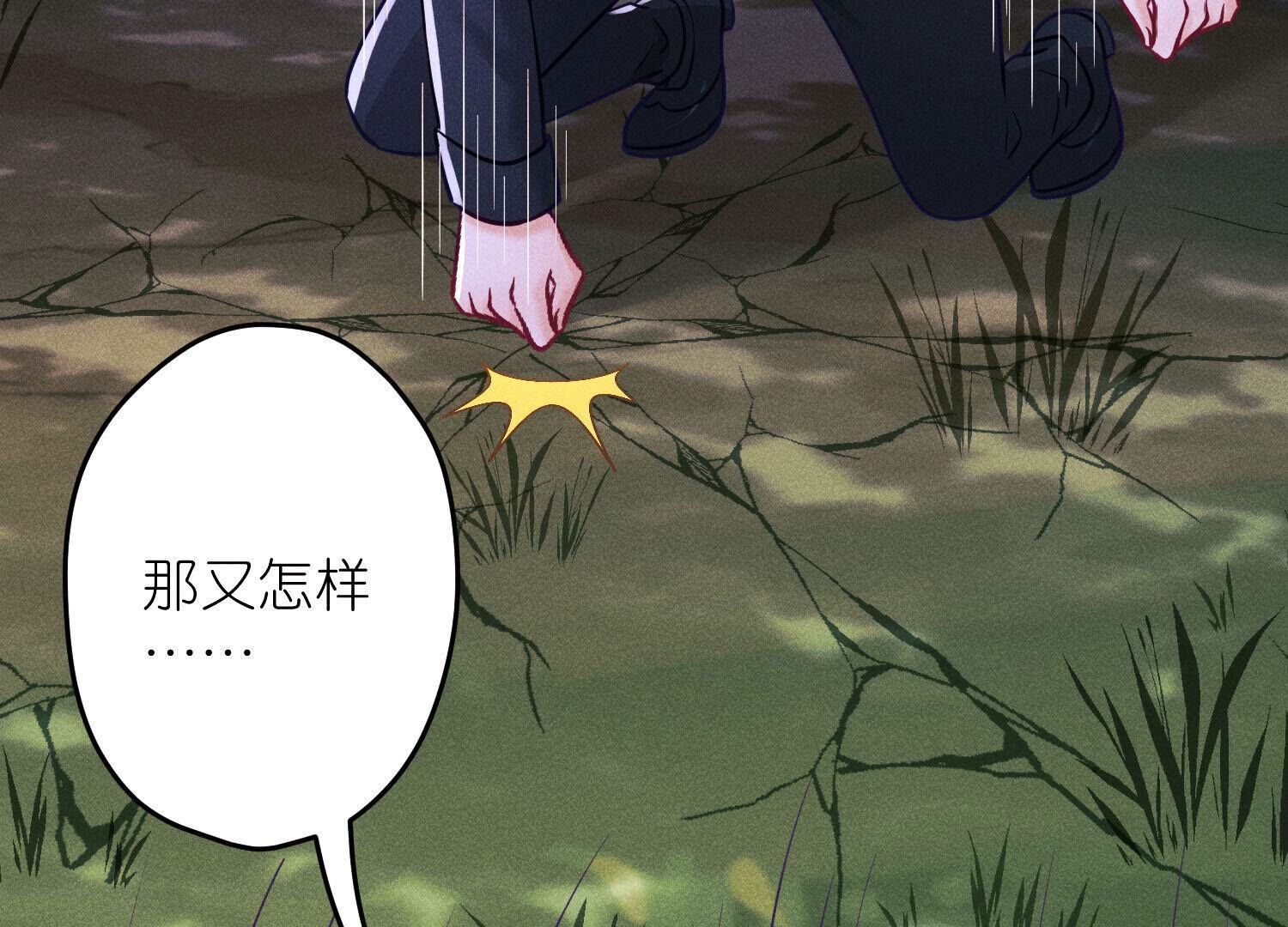 🍲最豪赘婿 龙王殿 第254话 陪你看世界 第13页