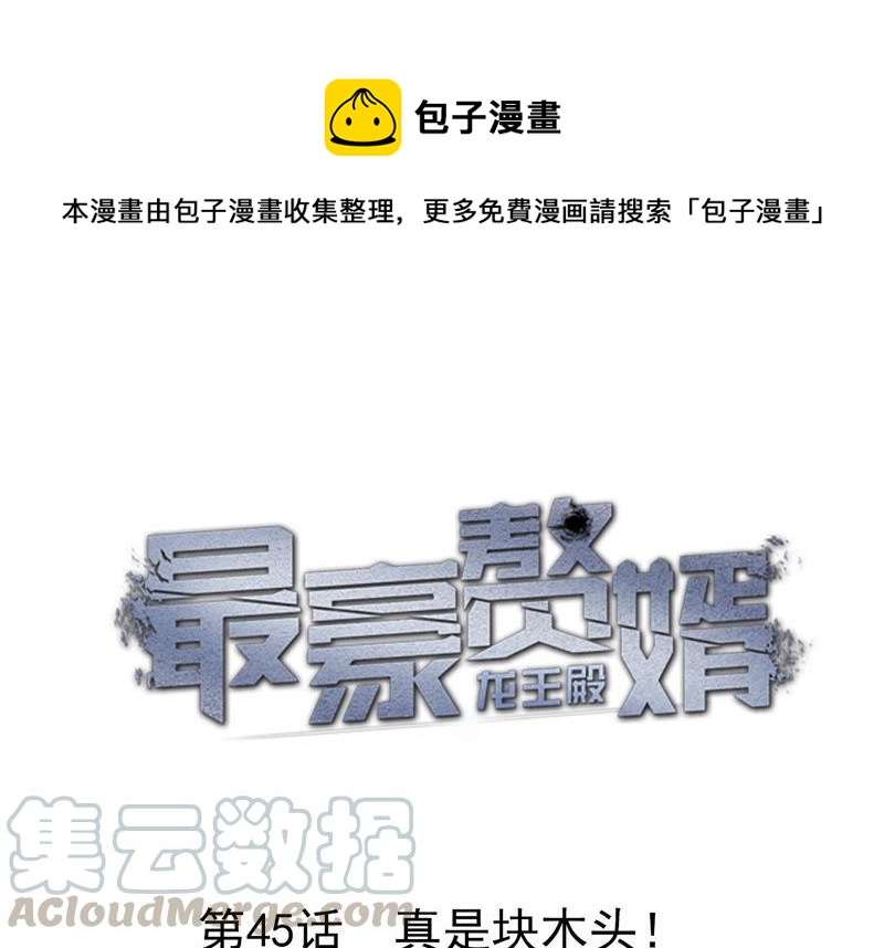🍲最豪赘婿 龙王殿 第45话 真是块木头！ 第1页