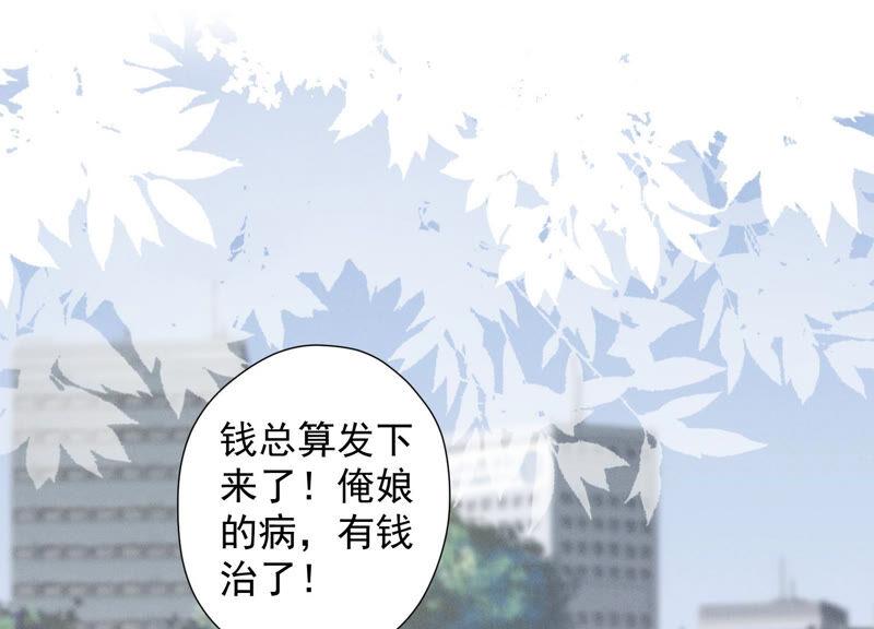 🍲最豪赘婿 龙王殿 第87话 神秘惊喜 第3页