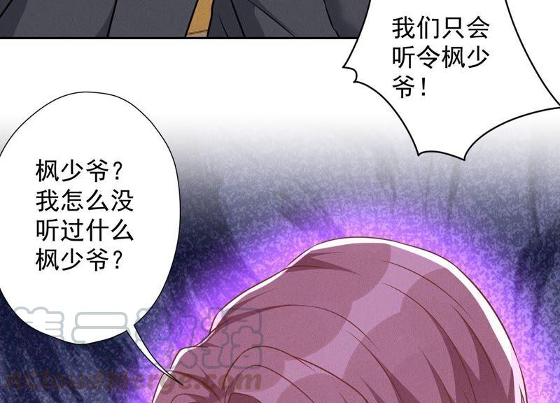 🍲最豪赘婿 龙王殿 第99话 陆家的管束 第28页