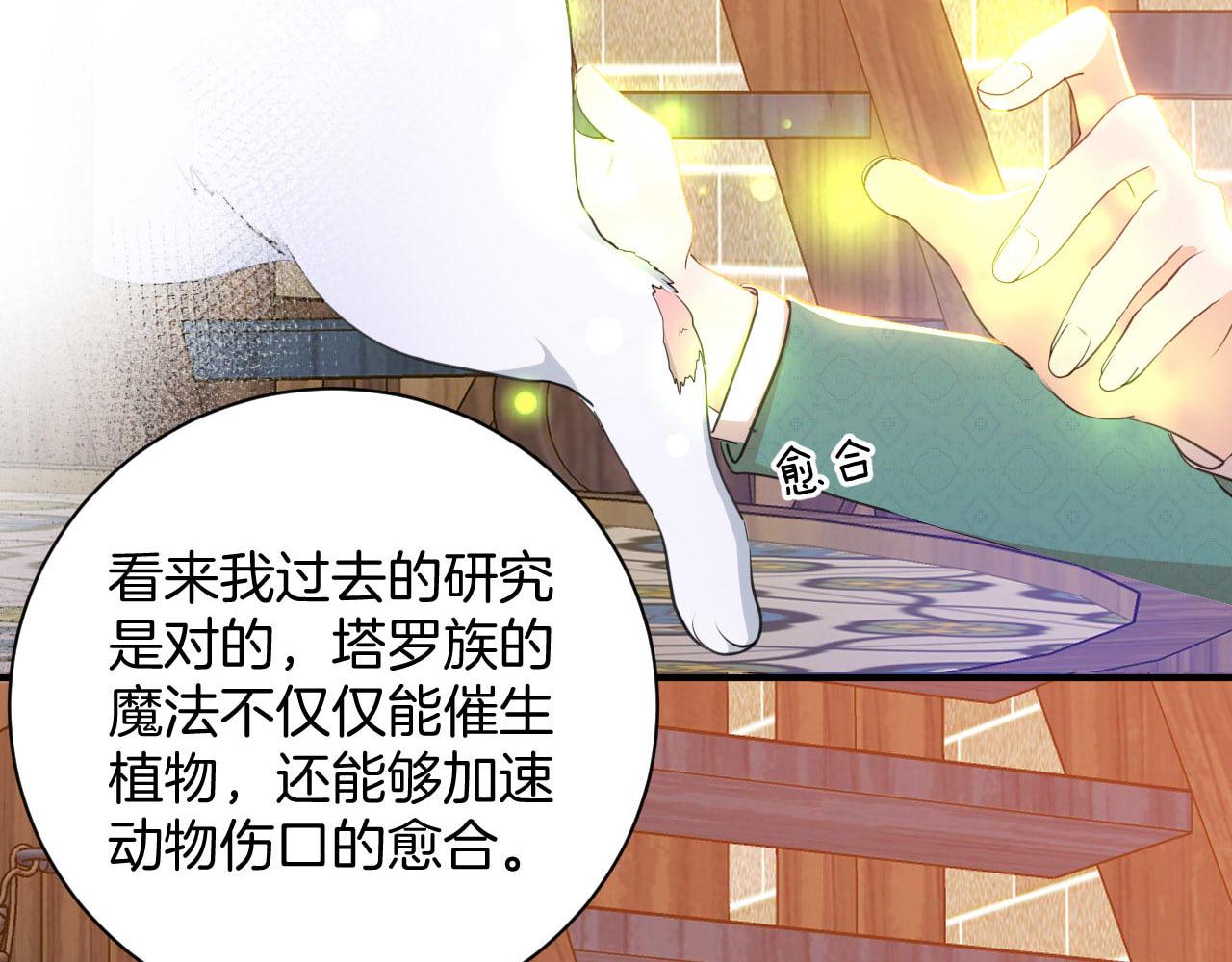 第16话 魔法的秘密(1/2)-第17话