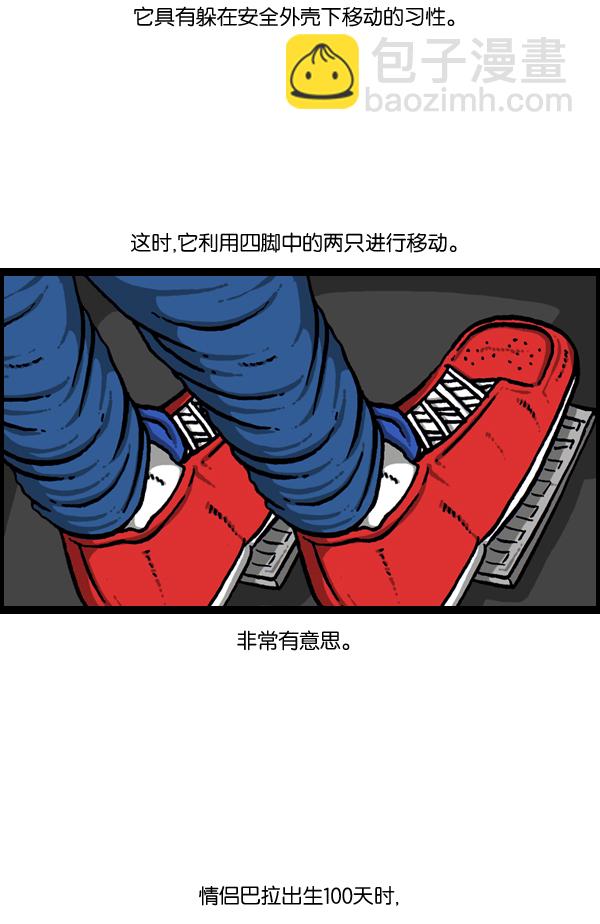 🍲最快更新的心灵的声音 [第889话] 神秘动物综述 第9页