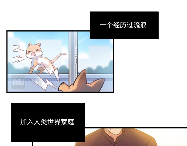 番外3  奇怪的人温暖的人(1/3)-第63话