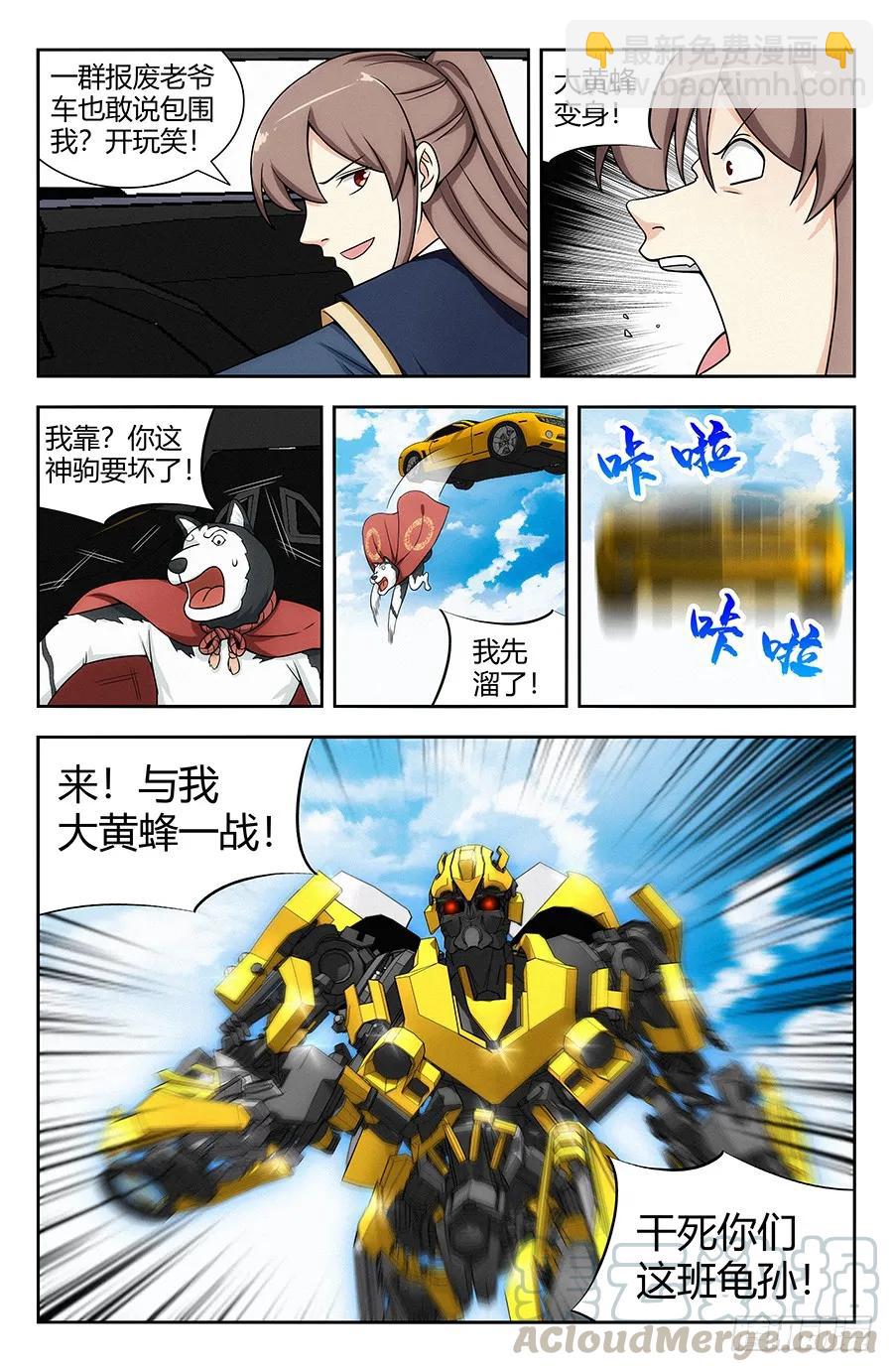 🍲最强反套路系统 118逼王座驾！ 第13页
