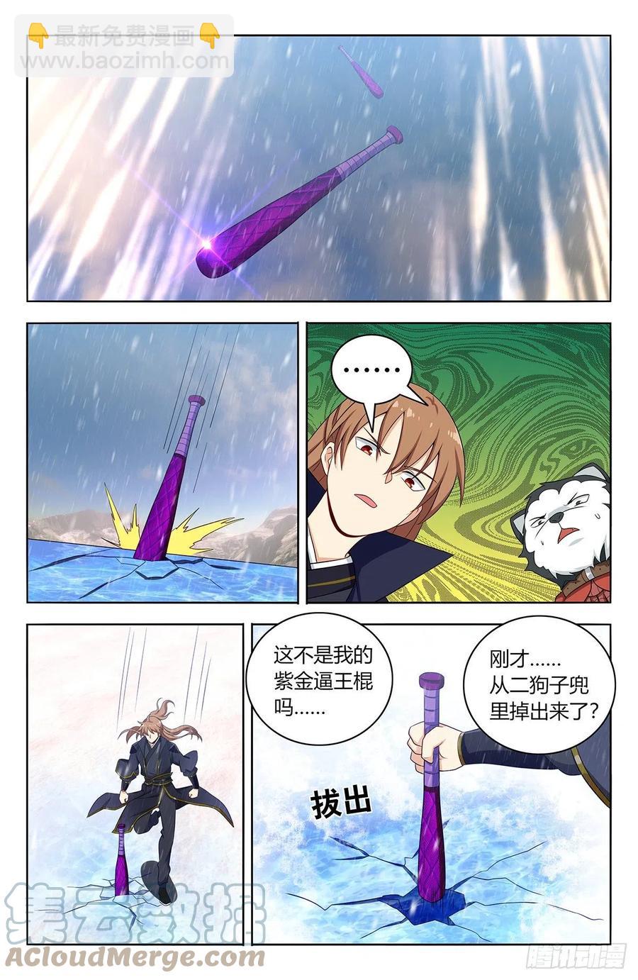🍲最强反套路系统 490惨遭打脸 第4页